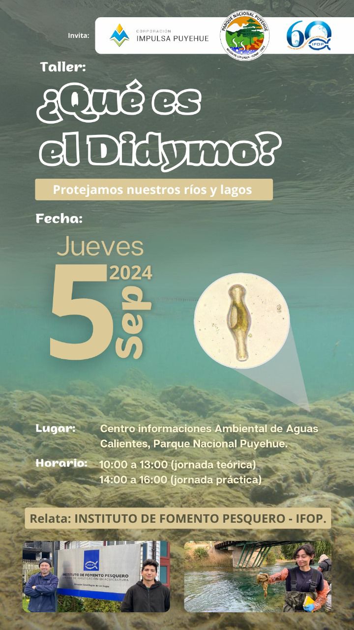 congresoscl